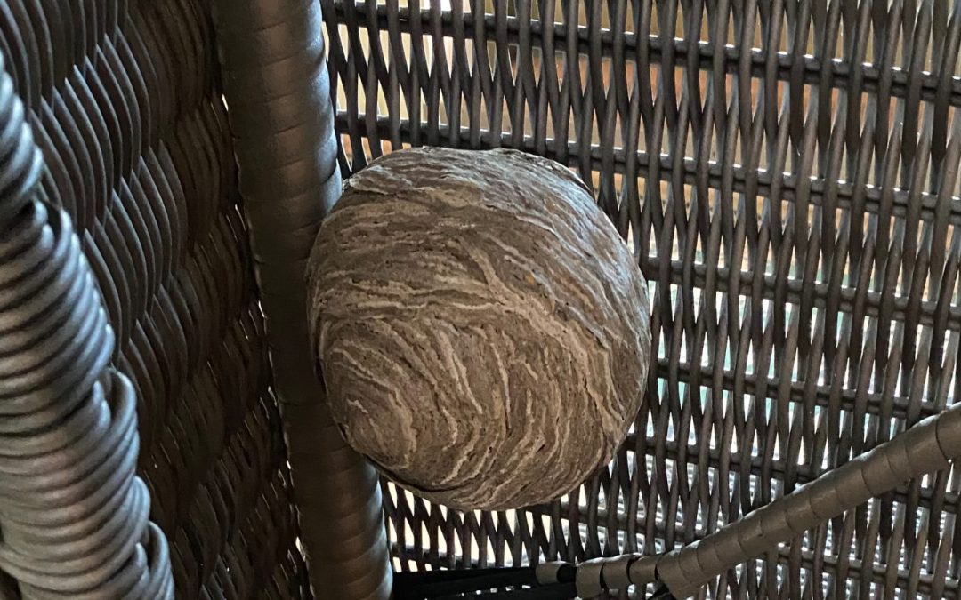 Eesti riigimehelik demokraatia on hääbumas